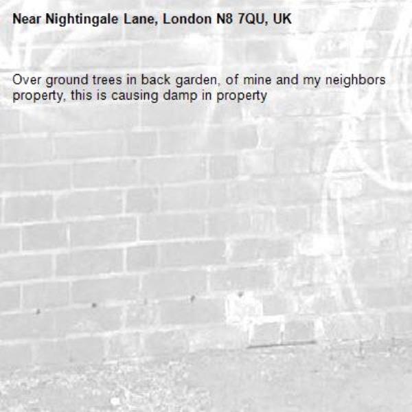 Over ground trees in back garden, of mine and my neighbors property, this is causing damp in property -Nightingale Lane, London N8 7QU, UK
