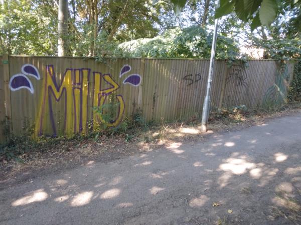 Graffiti in alleyway 6 sqm -149 Chiltern Road, Reading, RG4 5JG