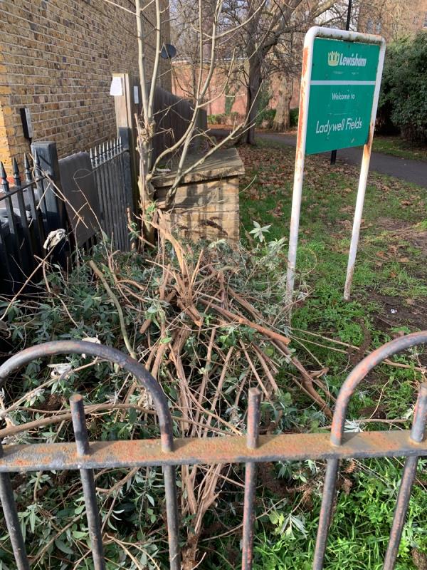 Gardening waste dumped in park entrance.-44 Albacore Crescent, Rushey Green, SE13 7HP, England, United Kingdom
