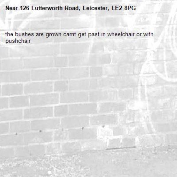 the bushes are grown carnt get past in wheelchair or with pushchair -126 Lutterworth Road, Leicester, LE2 8PG