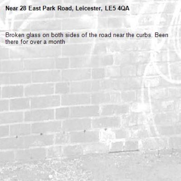 Broken glass on both sides of the road near the curbs. Been there for over a month-28 East Park Road, Leicester, LE5 4QA