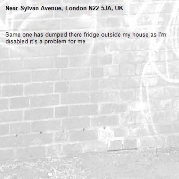 Same one has dumped there fridge outside my house as I’m disabled it’s a problem for me-Sylvan Avenue, London N22 5JA, UK
