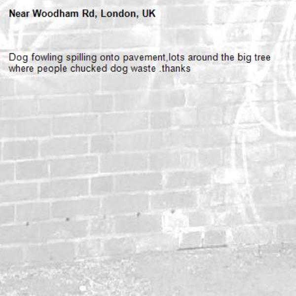 Dog fowling spilling onto pavement,lots around the big tree where people chucked dog waste .thanks-Woodham Rd, London, UK