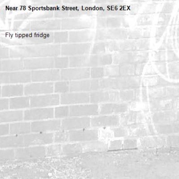 Fly tipped fridge -78 Sportsbank Street, London, SE6 2EX