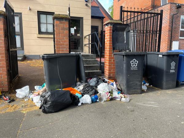 Rubbish from bins scattered -2b Westcotes Drive, Leicester, LE3 0QR