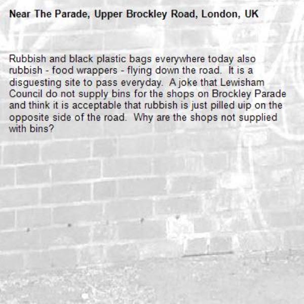 Rubbish and black plastic bags everywhere today also rubbish - food wrappers - flying down the road.  It is a disguesting site to pass everyday.  A joke that Lewisham Council do not supply bins for the shops on Brockley Parade and think it is acceptable that rubbish is just pilled uip on the opposite side of the road.  Why are the shops not supplied with bins?-The Parade, Upper Brockley Road, London, UK