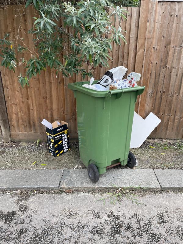 Overflowing bin -28 Littlewood, Hither Green, London, SE13 6SD