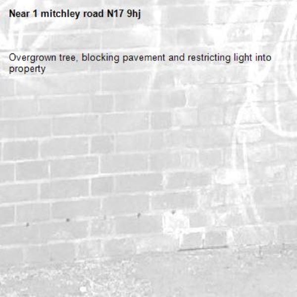 Overgrown tree, blocking pavement and restricting light into property -1 mitchley road N17 9hj 