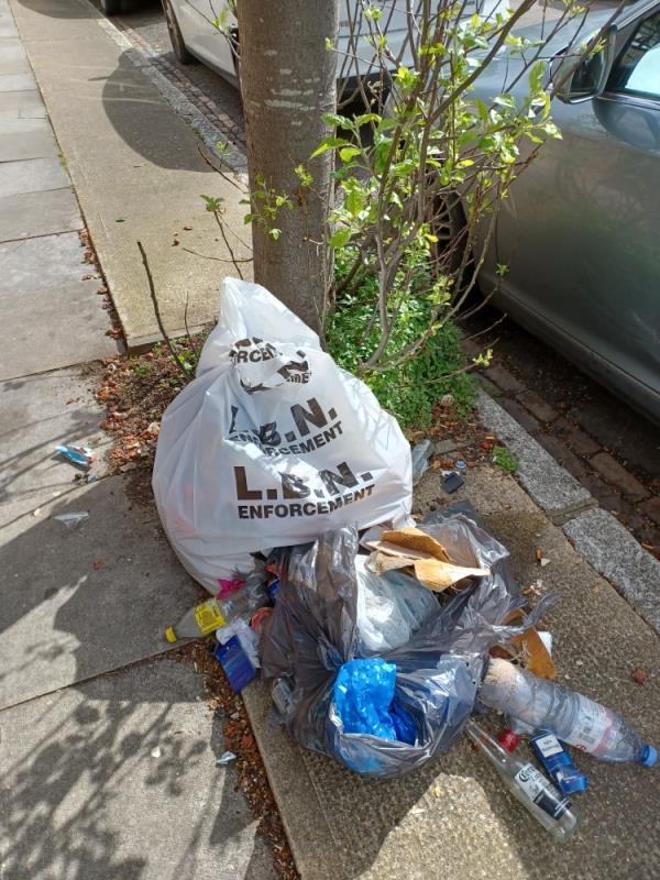 Bags of household waste fly tipped underneath a tree at 17 Ferndale Road, E7. -17 Ferndale Road, Forest Gate, London, E7 8JX