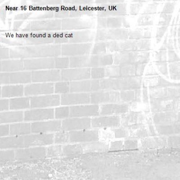 We have found a ded cat-16 Battenberg Road, Leicester, UK