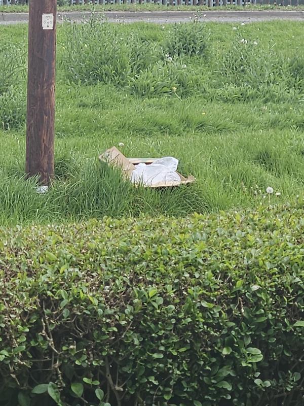 Members of 763 have been seen fly tipping opposite their house and at the bin on grant way. Cctv evidence has been gained.-Saffron Lane Service Road, Leicester