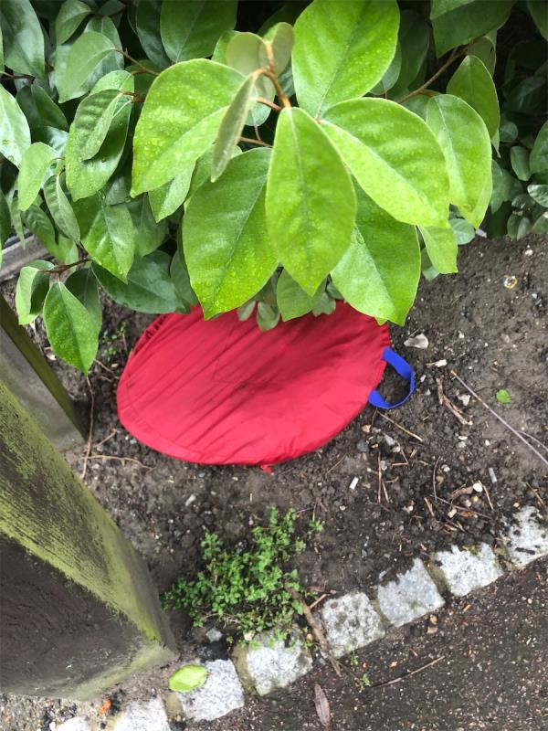 Please clear a bag from bushes at entrance to Estate-69 Beckenham Hill Road, Bellingham, Bromley, SE6 3NY