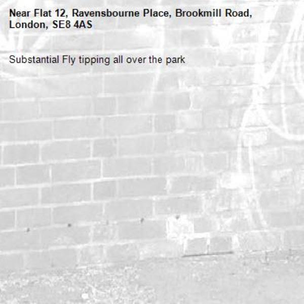 Substantial Fly tipping all over the park-Flat 12, Ravensbourne Place, Brookmill Road, London, SE8 4AS