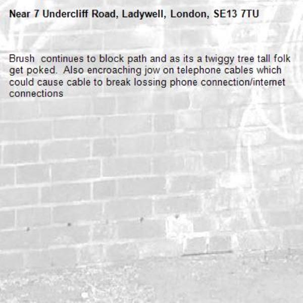 Brush  continues to block path and as its a twiggy tree tall folk get poked.  Also encroaching jow on telephone cables which could cause cable to break lossing phone connection/internet connections-7 Undercliff Road, Ladywell, London, SE13 7TU
