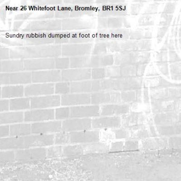 Sundry rubbish dumped at foot of tree here-26 Whitefoot Lane, Bromley, BR1 5SJ