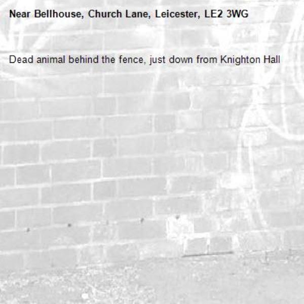 Dead animal behind the fence, just down from Knighton Hall-Bellhouse, Church Lane, Leicester, LE2 3WG