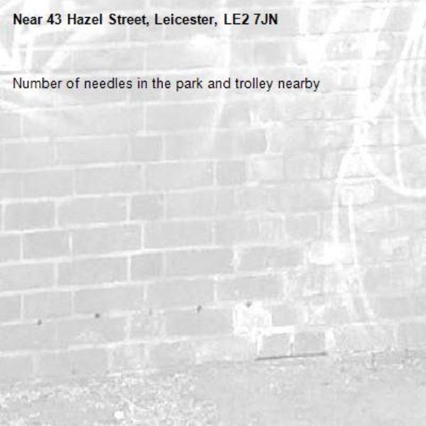 Number of needles in the park and trolley nearby -43 Hazel Street, Leicester, LE2 7JN