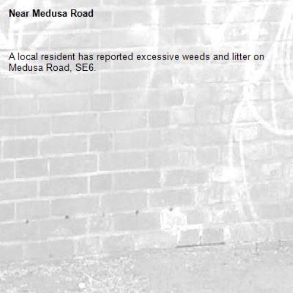 A local resident has reported excessive weeds and litter on Medusa Road, SE6.-Medusa Road