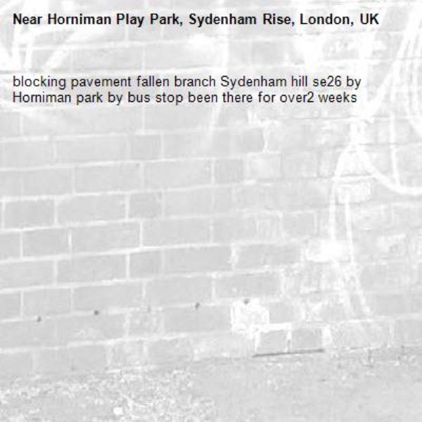 blocking pavement fallen branch Sydenham hill se26 by Horniman park by bus stop been there for over2 weeks -Horniman Play Park, Sydenham Rise, London, UK