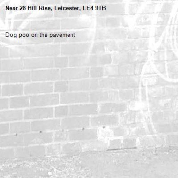 Dog poo on the pavement -28 Hill Rise, Leicester, LE4 9TB