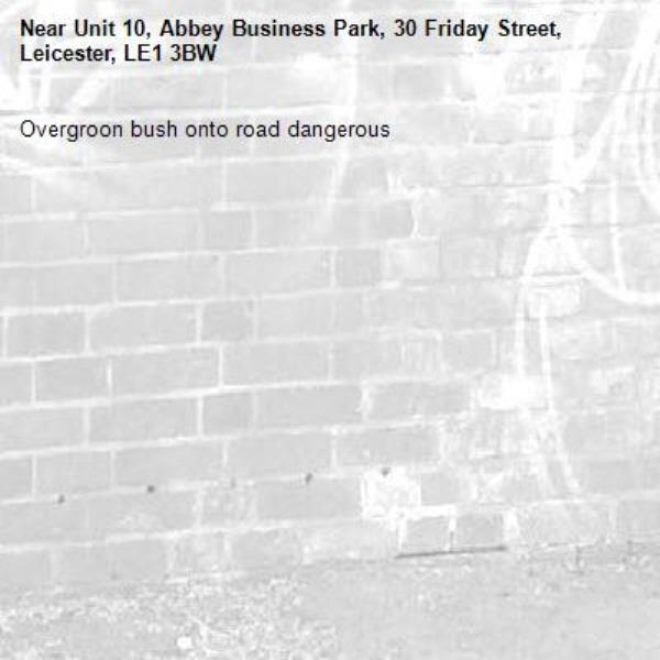Overgroon bush onto road dangerous-Unit 10, Abbey Business Park, 30 Friday Street, Leicester, LE1 3BW