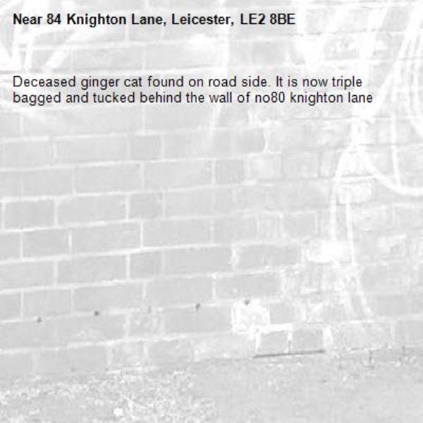 Deceased ginger cat found on road side. It is now triple bagged and tucked behind the wall of no80 knighton lane-84 Knighton Lane, Leicester, LE2 8BE