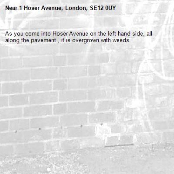 As you come into Hoser Avenue on the left hand side, all along the pavement , it is overgrown with weeds-1 Hoser Avenue, London, SE12 0UY