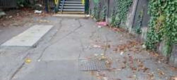 Still unattended rubbish on german alley
-W G Grace House, 48 Dacres Road, Forest Hill, SE23 2NR, England, United Kingdom