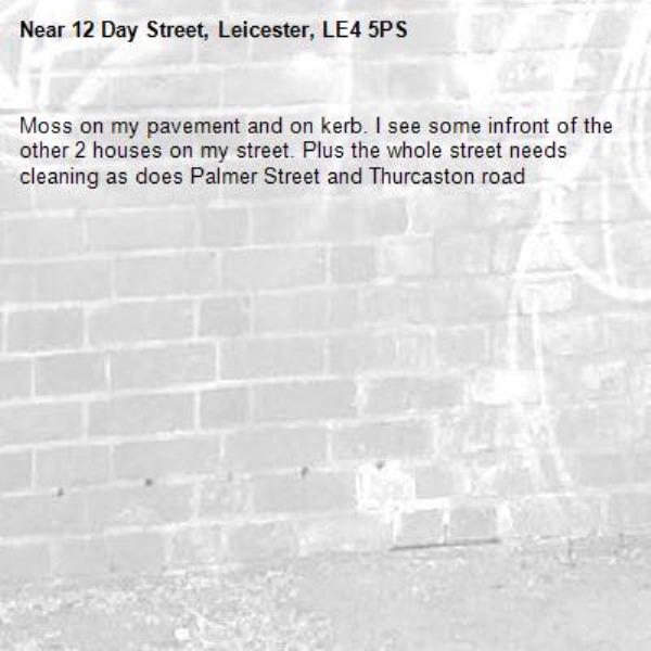 Moss on my pavement and on kerb. I see some infront of the other 2 houses on my street. Plus the whole street needs cleaning as does Palmer Street and Thurcaston road -12 Day Street, Leicester, LE4 5PS