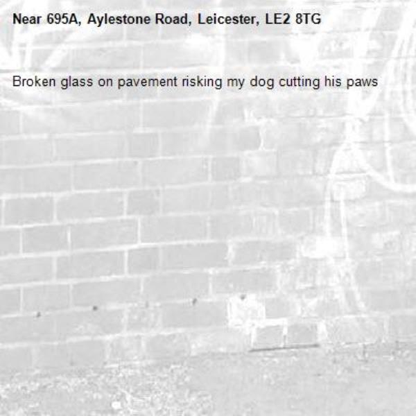 Broken glass on pavement risking my dog cutting his paws -695A, Aylestone Road, Leicester, LE2 8TG
