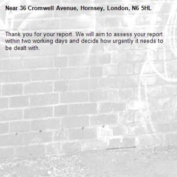 Thank you for your report. We will aim to assess your report within two working days and decide how urgently it needs to be dealt with.-36 Cromwell Avenue, Hornsey, London, N6 5HL