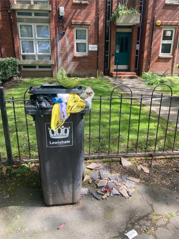 Major problems with bins at 53 and 54 Lewisham Park.  There are waste bins at the rear of these properties. These bins should be removed as they are overflowing and/or are full of builders materials so are too heavy to move.   Please fix this issue.-Flat 1, 54 Lewisham Park, Hither Green, London, SE13 6QP