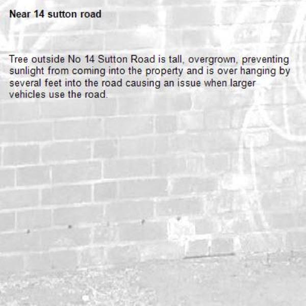 Tree outside No 14 Sutton Road is tall, overgrown, preventing sunlight from coming into the property and is over hanging by several feet into the road causing an issue when larger vehicles use the road.-14 sutton road