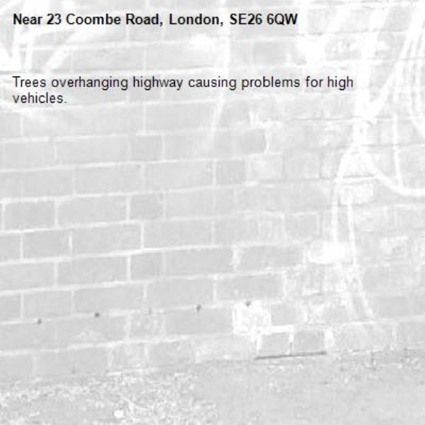 Trees overhanging highway causing problems for high vehicles.-23 Coombe Road, London, SE26 6QW