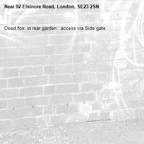 Dead fox  in rear garden.  access via Side gate-92 Elsinore Road, London, SE23 2SN