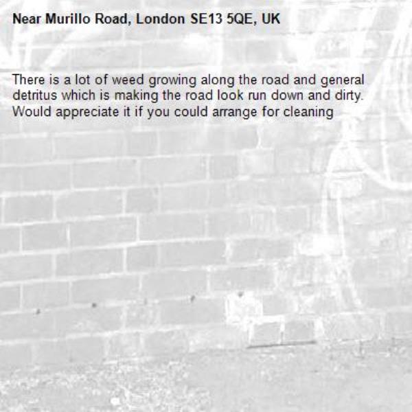 There is a lot of weed growing along the road and general detritus which is making the road look run down and dirty. Would appreciate it if you could arrange for cleaning-Murillo Road, London SE13 5QE, UK