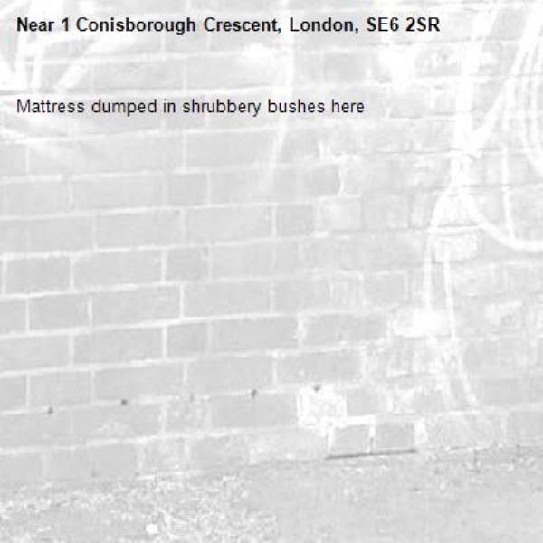 Mattress dumped in shrubbery bushes here-1 Conisborough Crescent, London, SE6 2SR