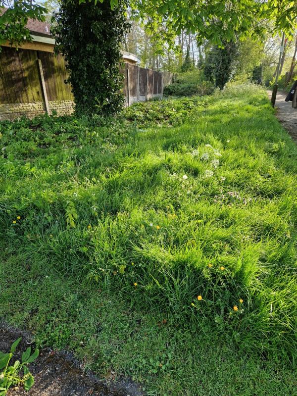 Weeds and grass have not been cut for more than a year on this pathway. This is hazzordous and dangerous. Passage is very narrow and sometimes weeds het stuck in clothes-6 Hazelnut Close, Leicester, LE5 4LZ
