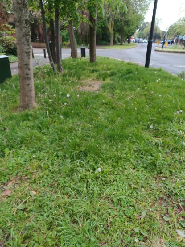 Can the council arrange to have this area of  grass  cut please. Located in Tollgate Road Beckton by the entrance of  Oliver Gardens  Beckton. They  cut the  rest of the  grass  but  not  this  area. Thanks -161 Tollgate Road, Beckton, London, E6 5JY