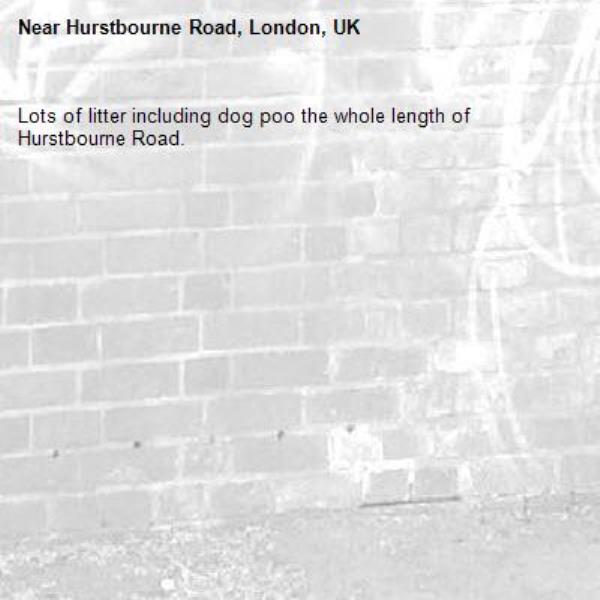 Lots of litter including dog poo the whole length of Hurstbourne Road. -Hurstbourne Road, London, UK