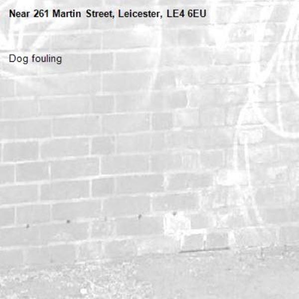 Dog fouling-261 Martin Street, Leicester, LE4 6EU