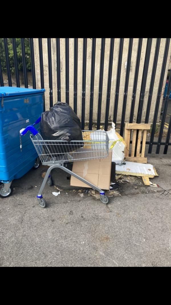 Tesco trolley and fly tipping -Eros House Brownhill Road, Catford, SE6 2EG, England, United Kingdom