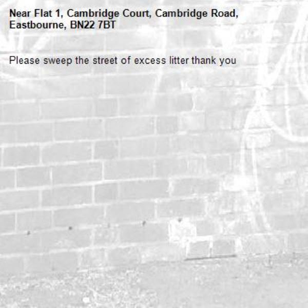 Please sweep the street of excess litter thank you-Flat 1, Cambridge Court, Cambridge Road, Eastbourne, BN22 7BT
