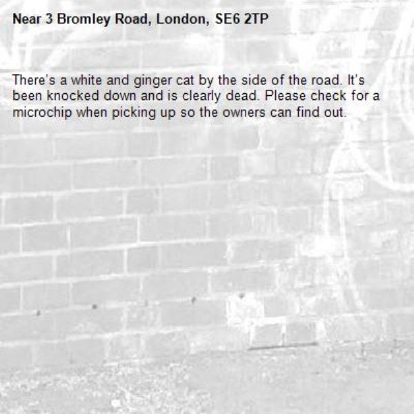 There’s a white and ginger cat by the side of the road. It’s been knocked down and is clearly dead. Please check for a microchip when picking up so the owners can find out.-3 Bromley Road, London, SE6 2TP
