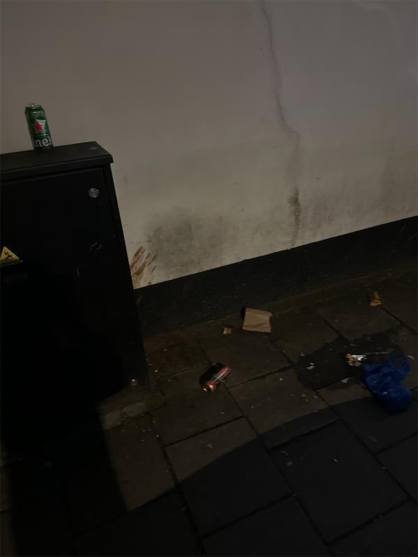 Alcohol cans and a puddle of piss-109B, Green Street, Forest Gate, London, E7 8JF