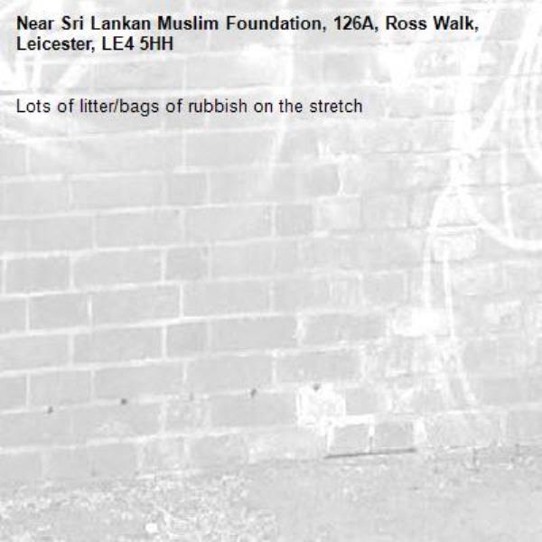 Lots of litter/bags of rubbish on the stretch -Sri Lankan Muslim Foundation, 126A, Ross Walk, Leicester, LE4 5HH