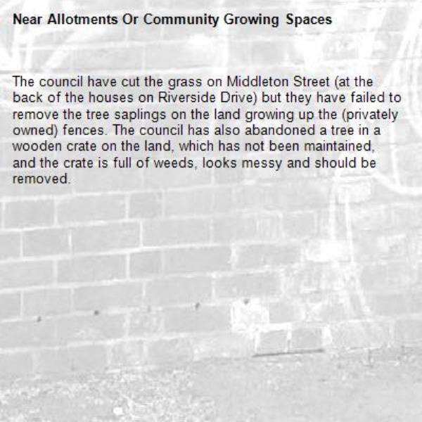 The council have cut the grass on Middleton Street (at the back of the houses on Riverside Drive) but they have failed to remove the tree saplings on the land growing up the (privately owned) fences. The council has also abandoned a tree in a wooden crate on the land, which has not been maintained, and the crate is full of weeds, looks messy and should be removed.-Allotments Or Community Growing Spaces