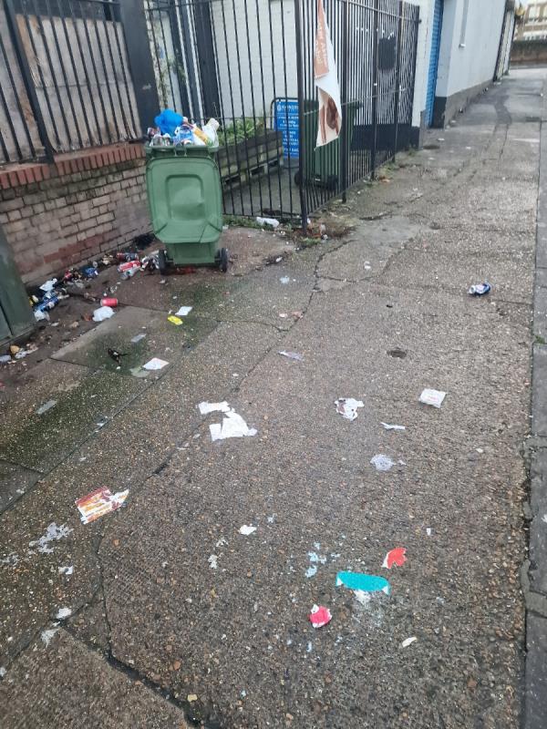 Francis Street is in DIRE need of street cleaning. This is a known spot for street drinkers to habitually stop off and drink after purchasing drinks from the 24 hour supermarket. Please can this cleaned -11 Francis Street, Stratford, London, E15 1JG