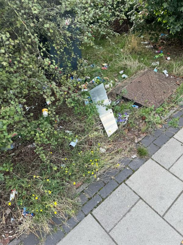 Litter on the side-Woolwich Manor Way, Beckton, London