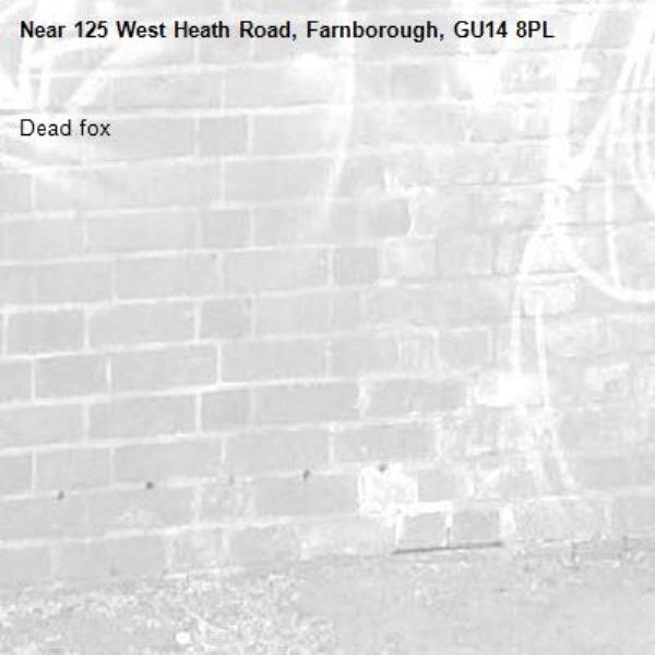 Dead fox-125 West Heath Road, Farnborough, GU14 8PL